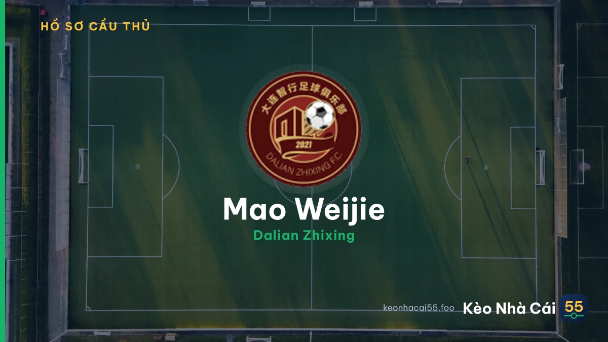 Mao Weijie — Dalian Zhixing