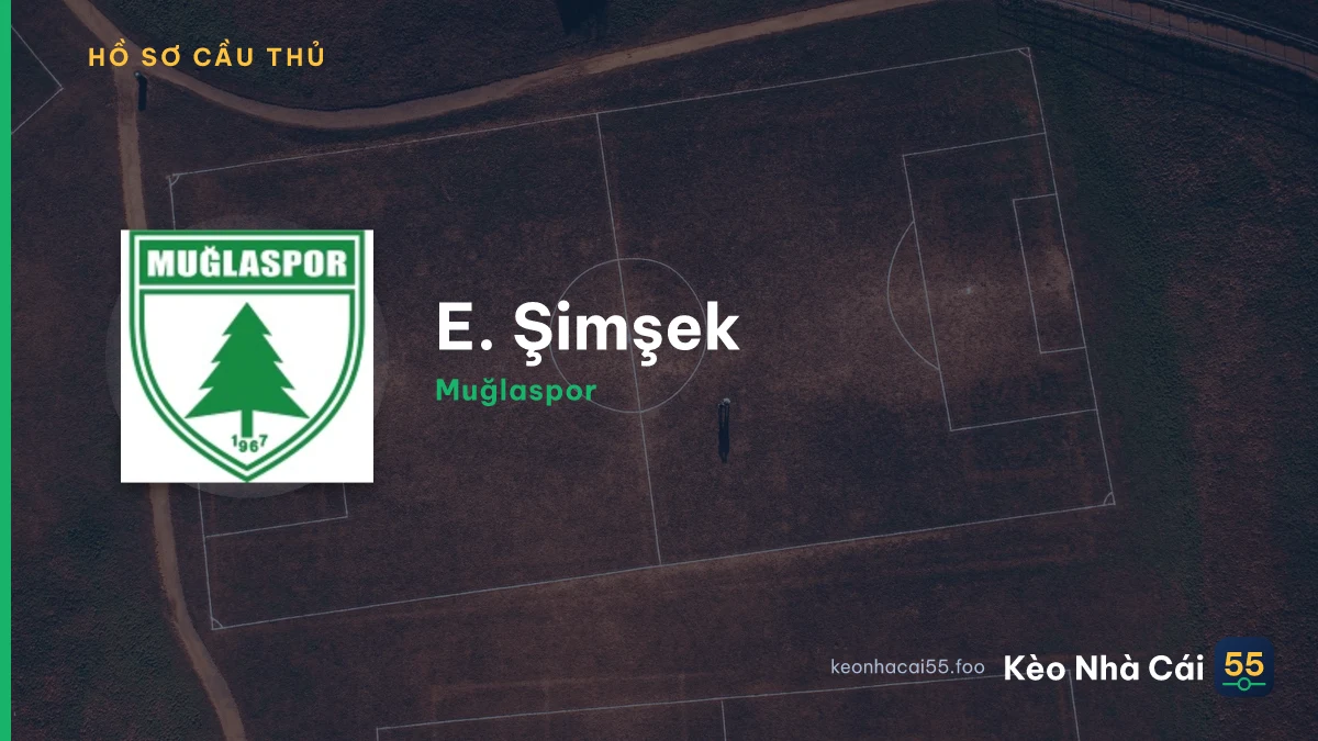 E. Şimşek