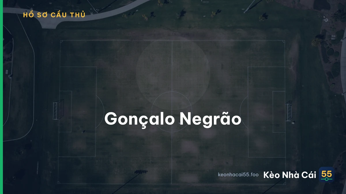 Gonçalo Negrão