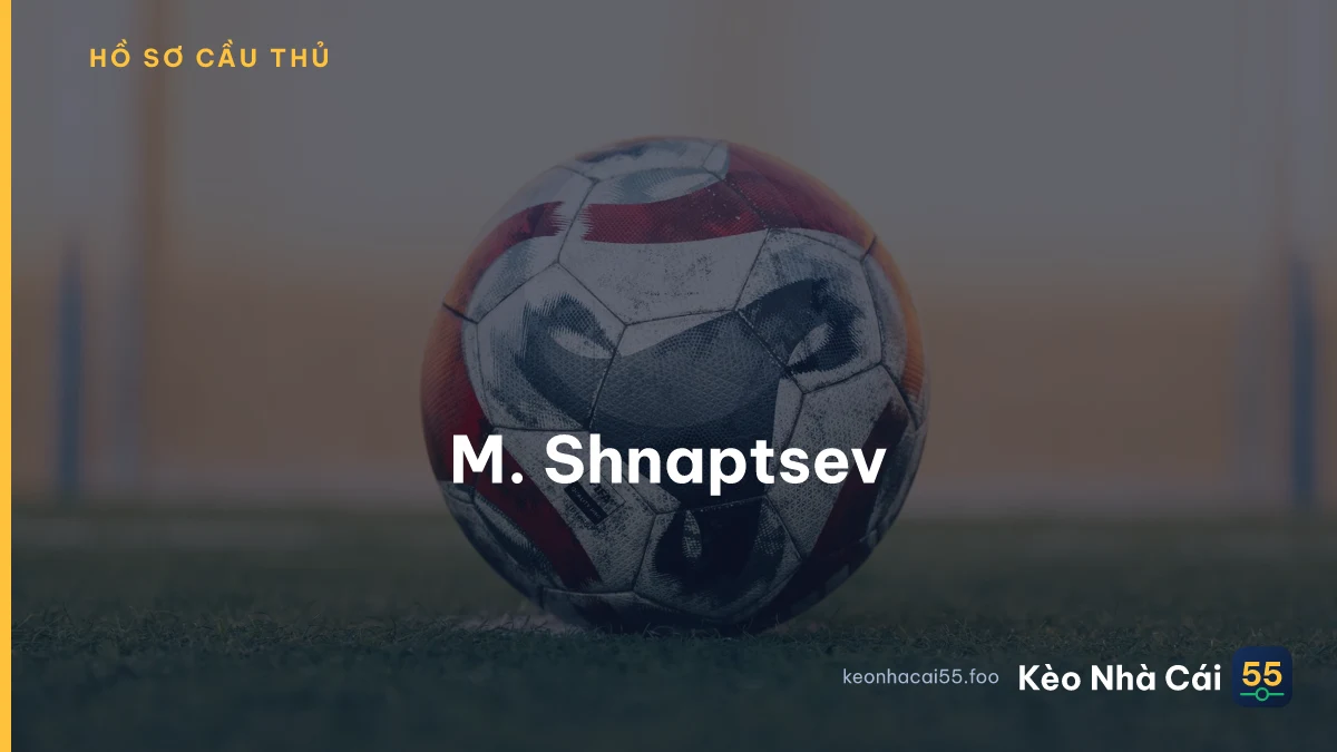 M. Shnaptsev