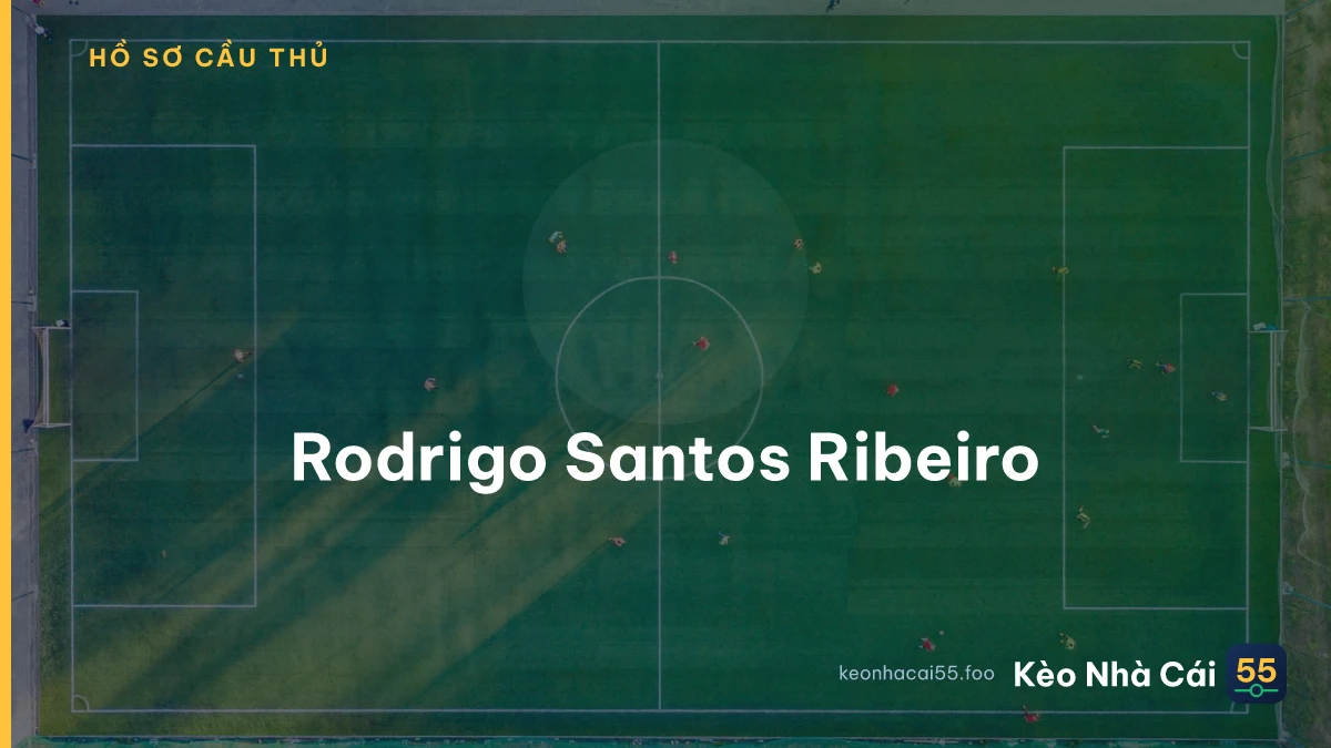 Rodrigo Santos Ribeiro