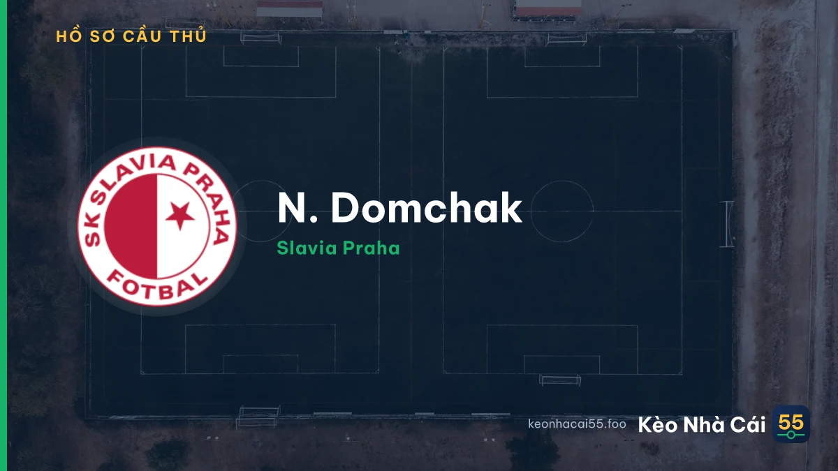N. Domchak