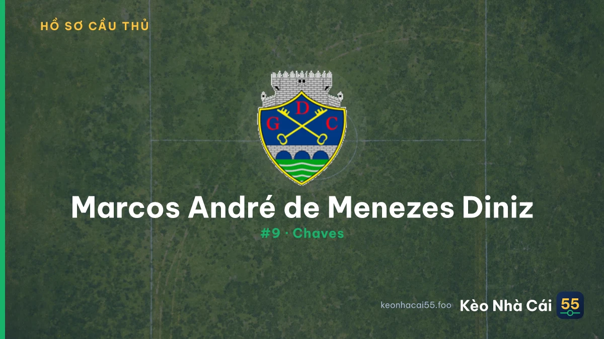 Marcos André de Menezes Diniz