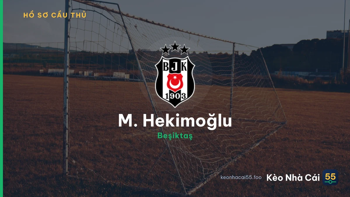 M. Hekimoğlu