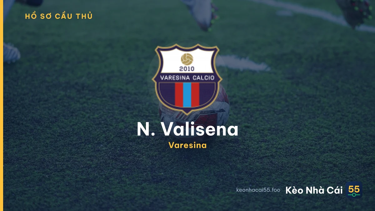 N. Valisena — Varesina