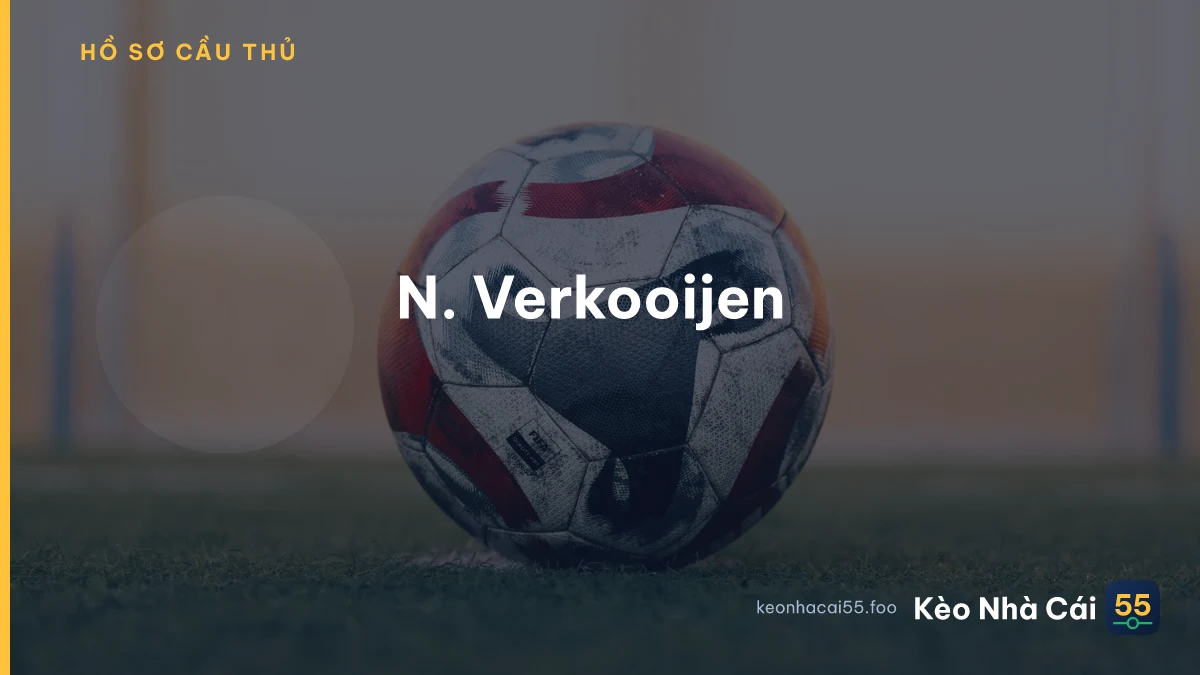 N. Verkooijen