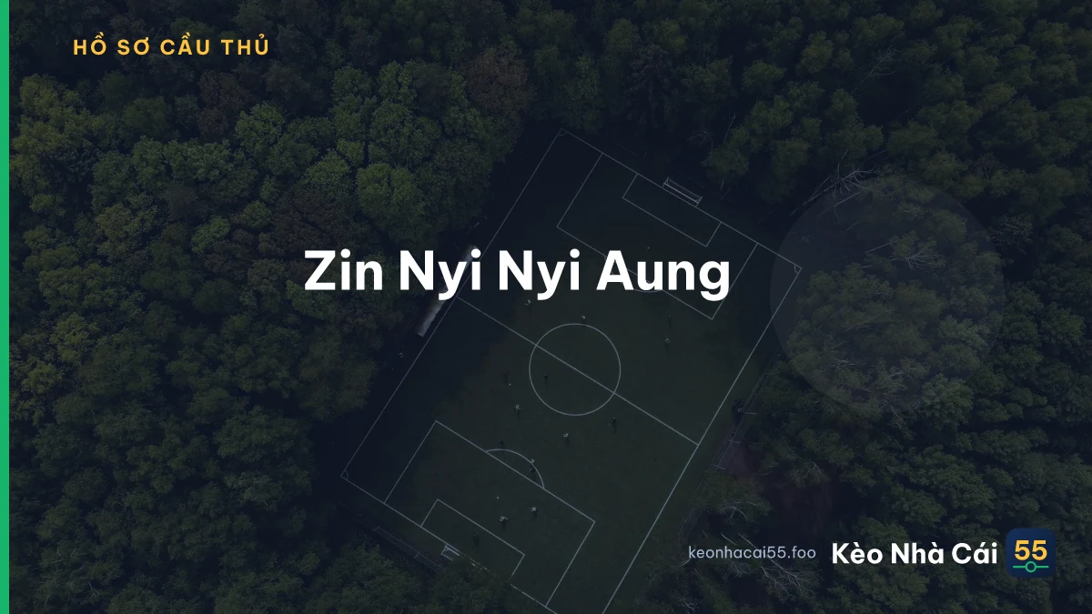 Zin Nyi Nyi Aung
