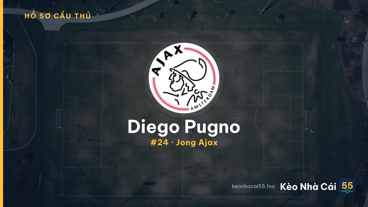 D. Pugno