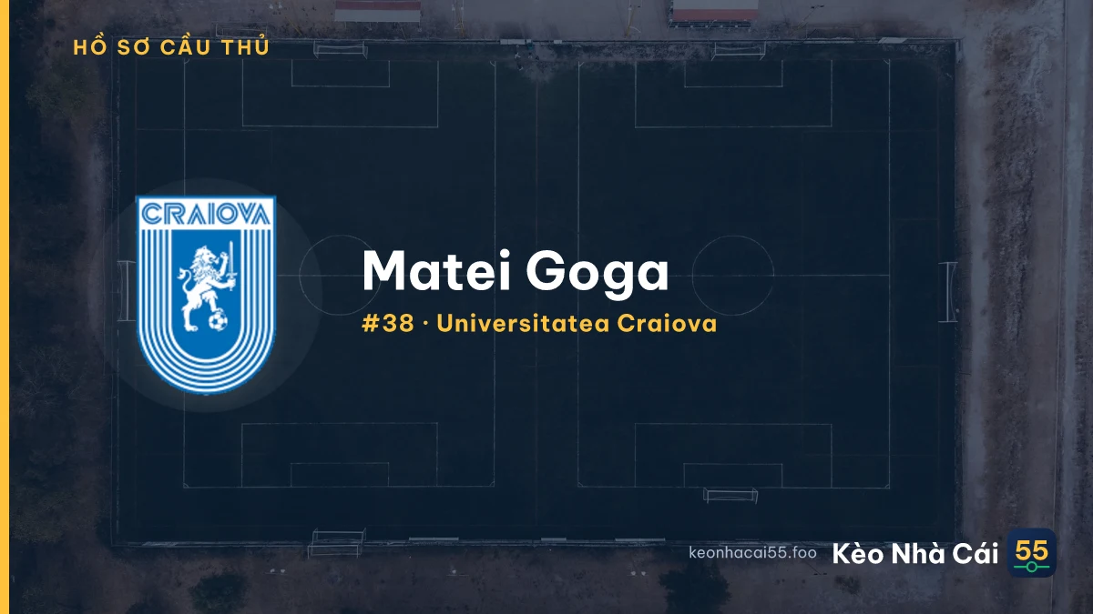 M. Goga — Universitatea Craiova