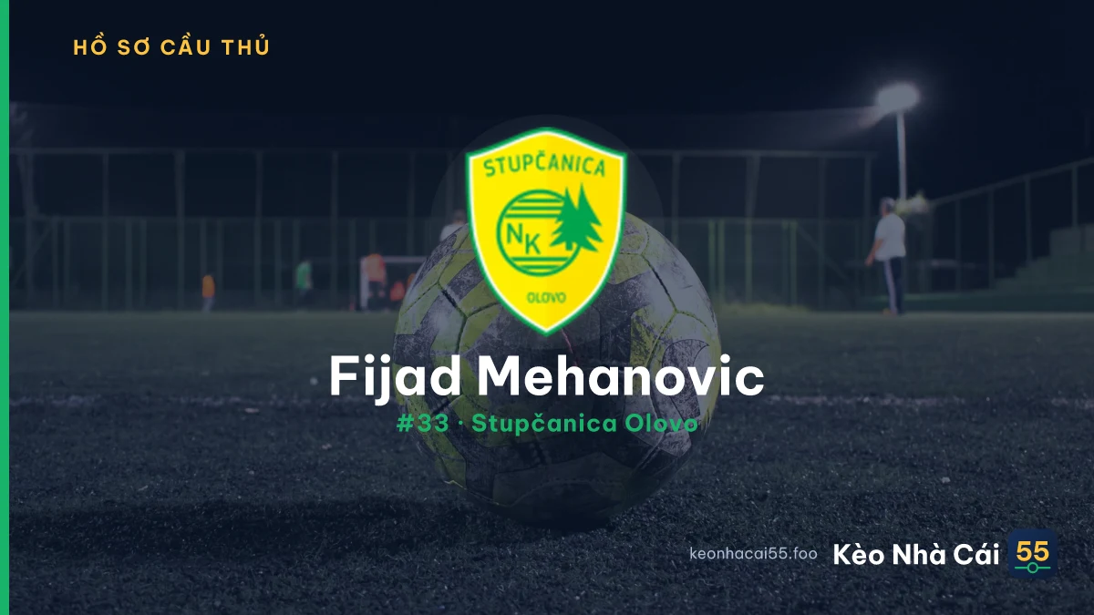 Fijad Mehanovic — Stupčanica Olovo