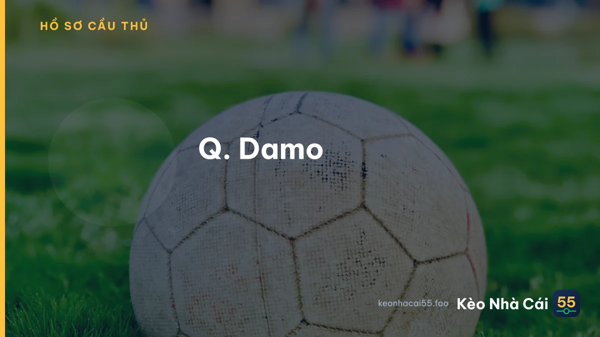 Q. Damo