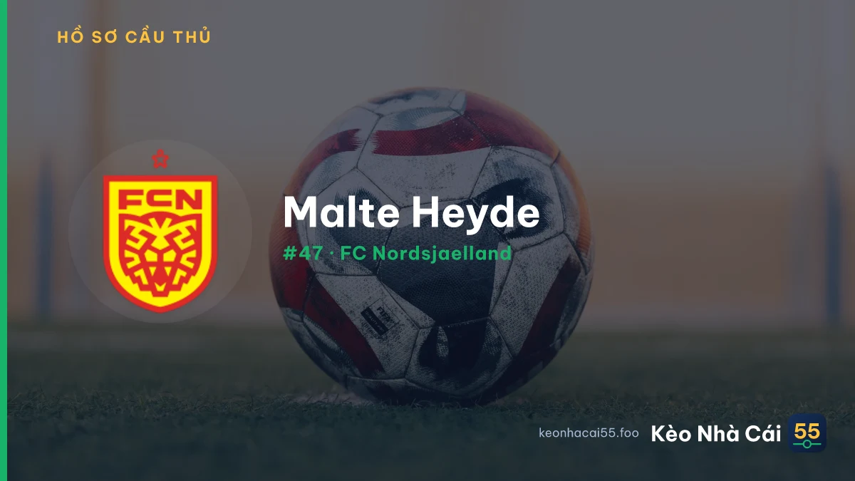 M. Heyde