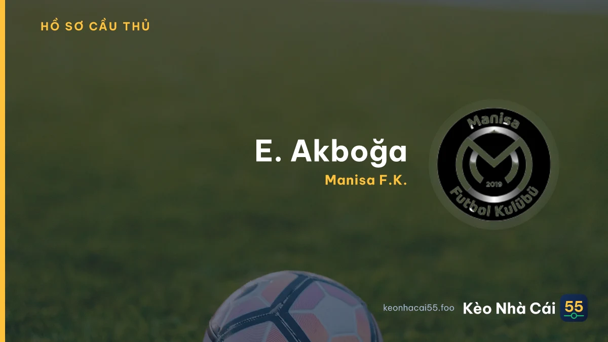 E. Akboğa