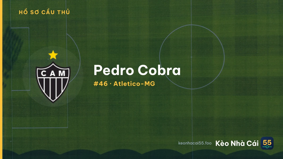 Pedro Cobra