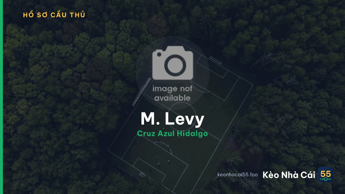 M. Levy