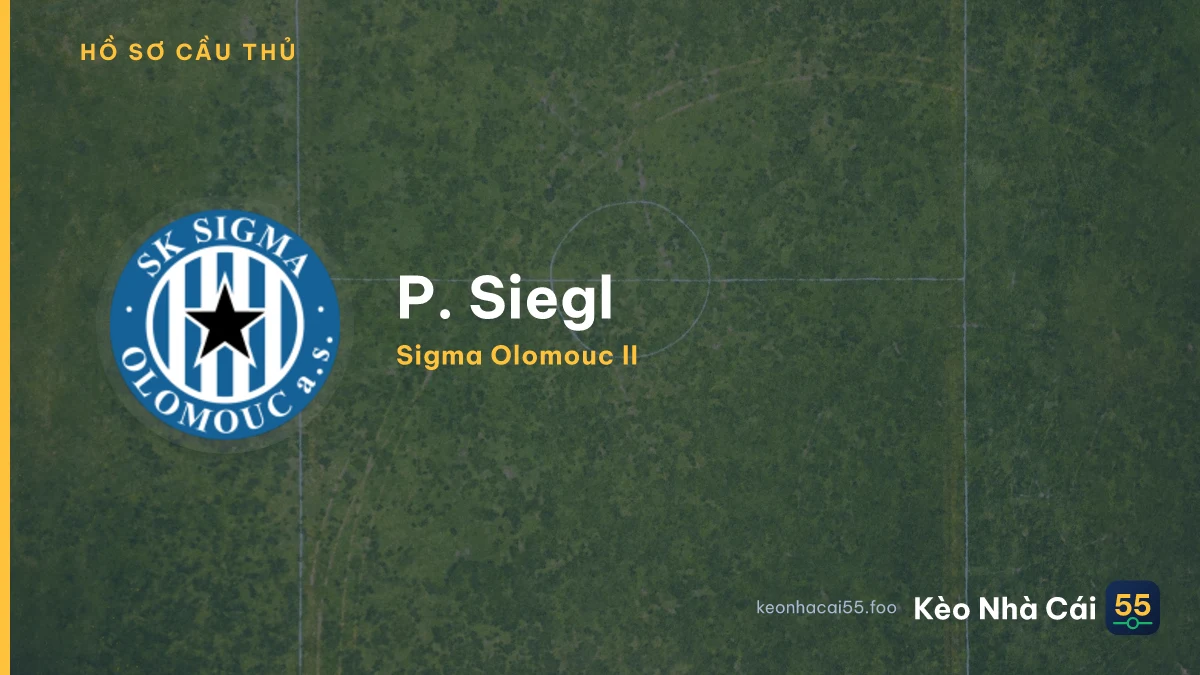 P. Siegl