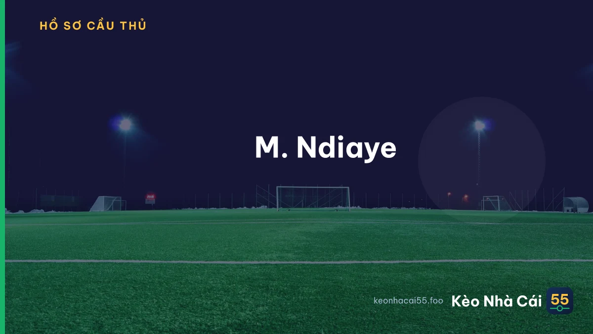 M. Ndiaye
