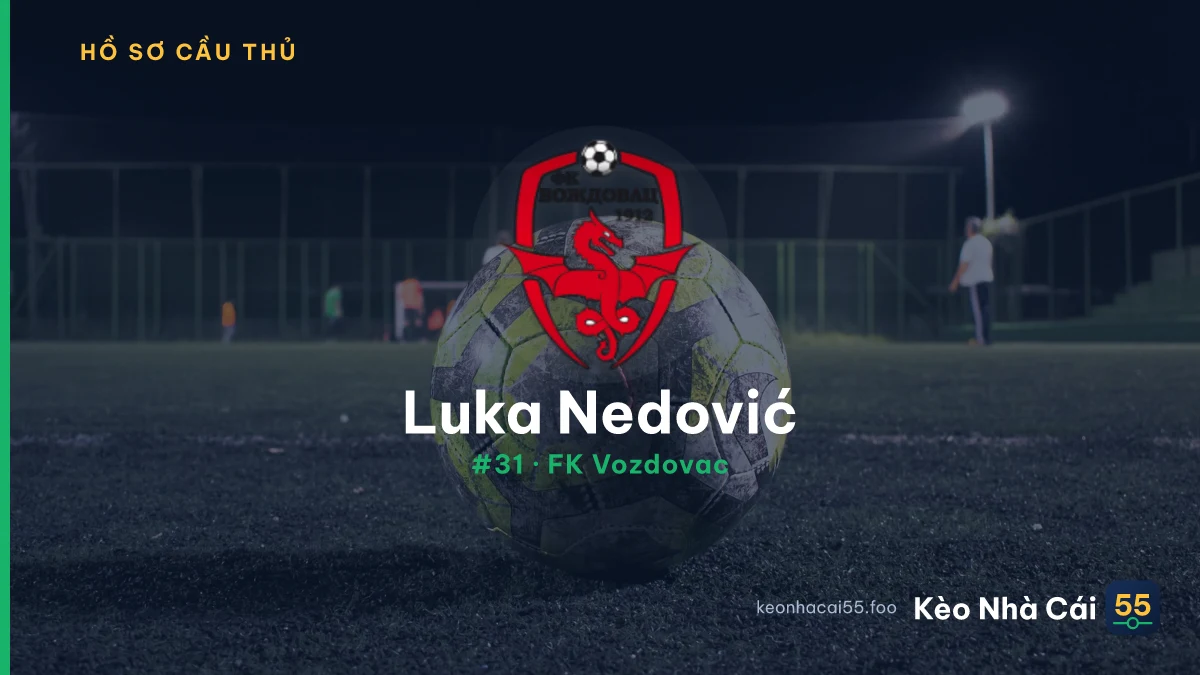 Luka Nedović — FK Vozdovac