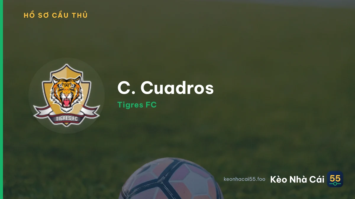 C. Cuadros