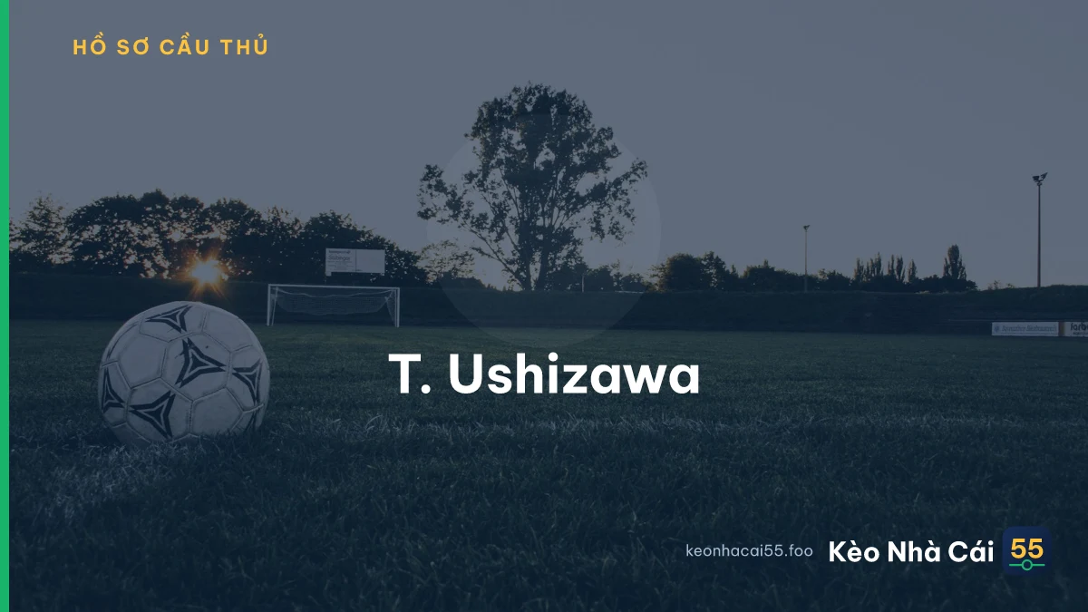 T. Ushizawa