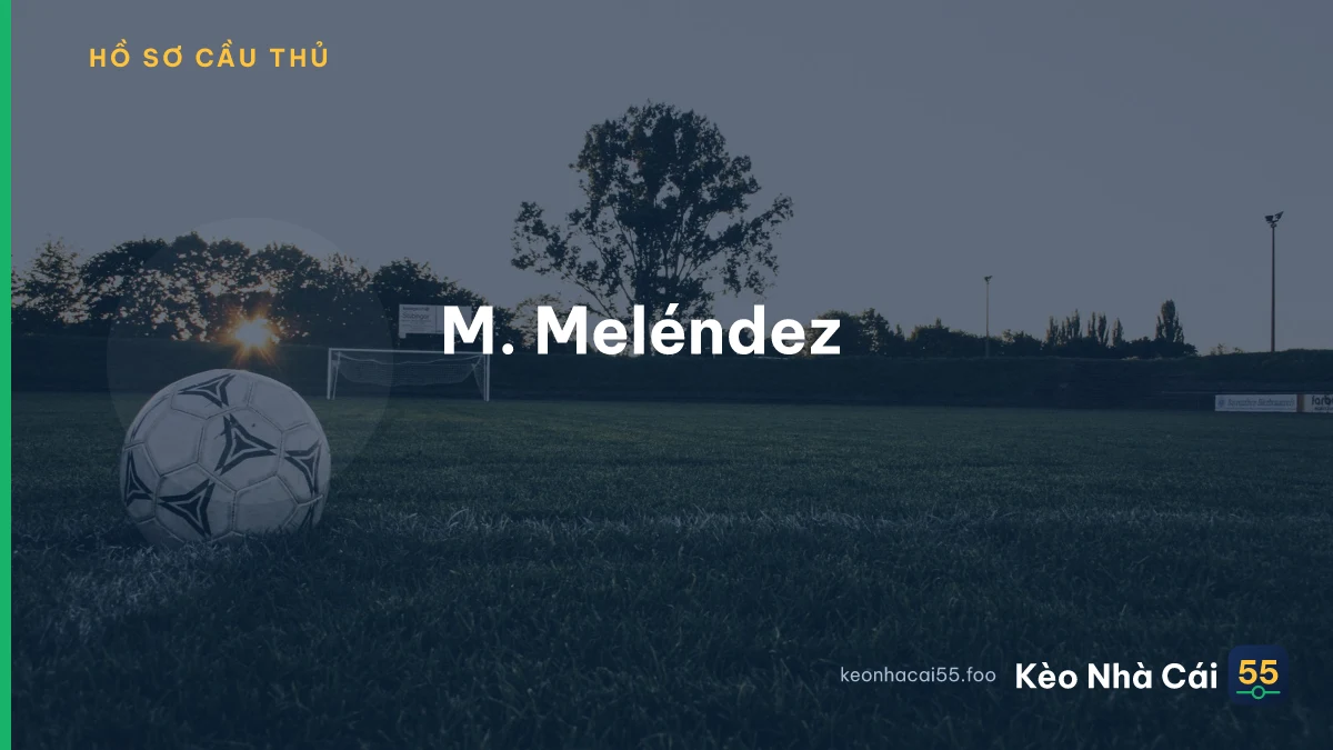 M. Meléndez