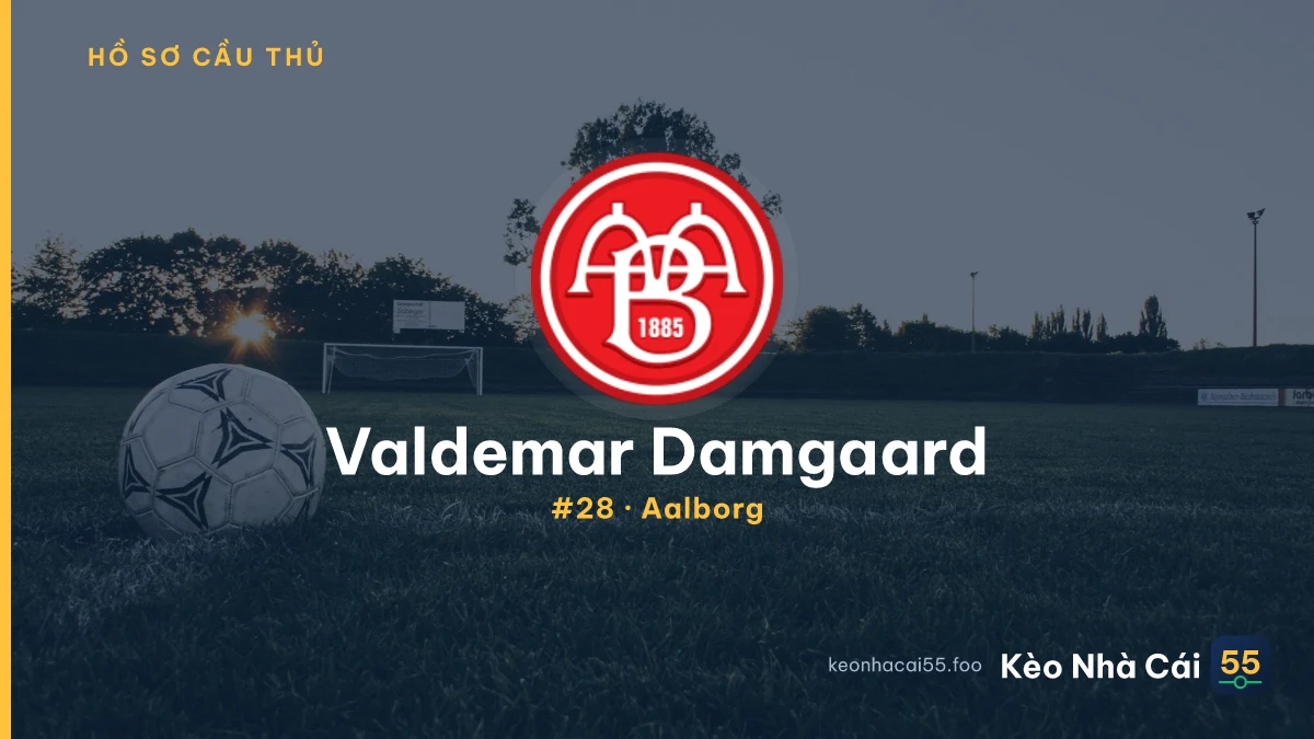 V. Damgaard