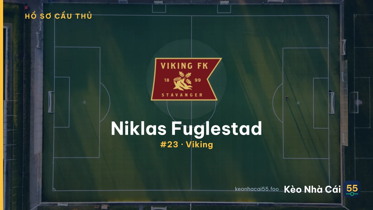 Niklas Fuglestad — Viking