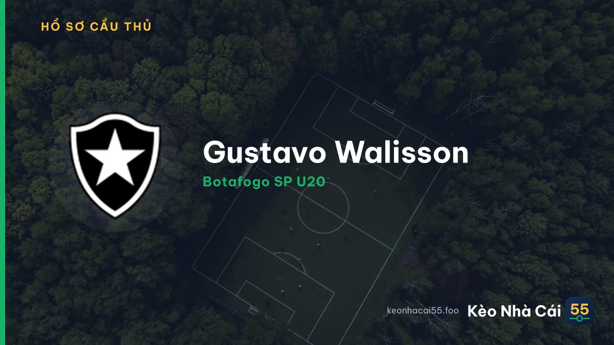 Gustavo Walisson — Botafogo SP U20