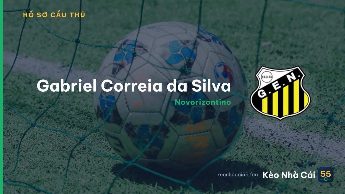Gabriel Correia da Silva — Novorizontino