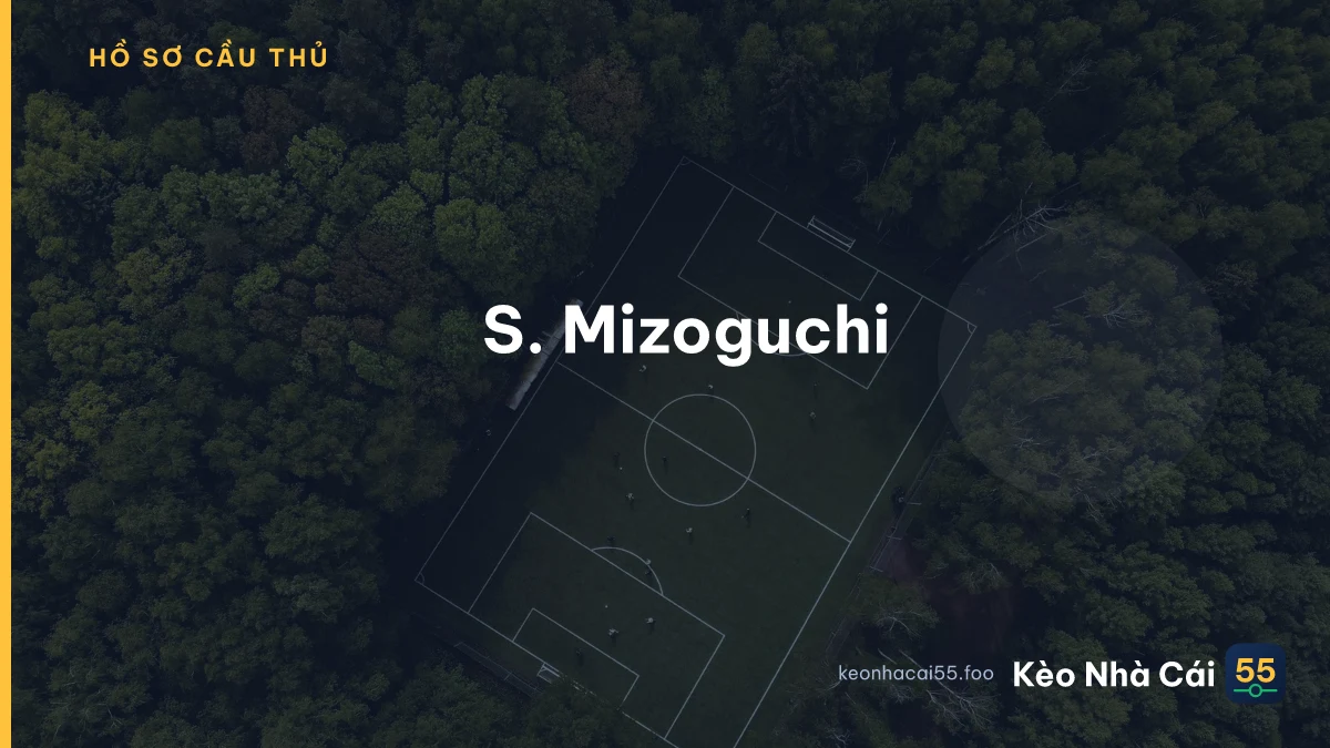 S. Mizoguchi