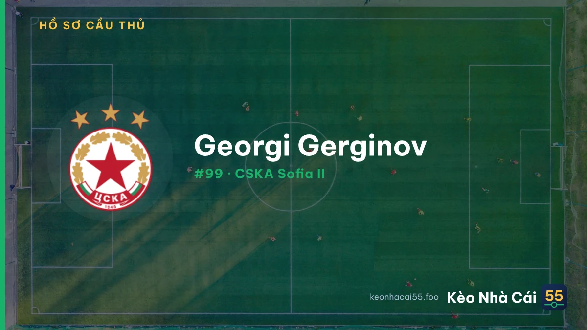 G. Gerginov