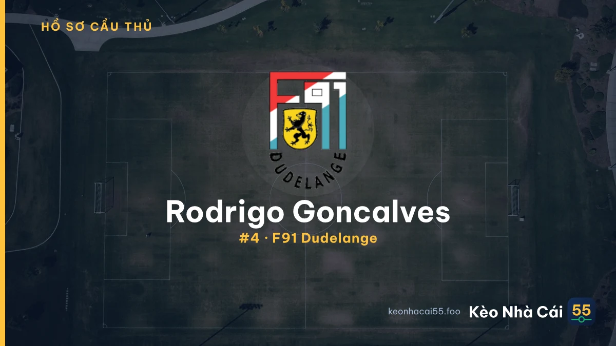 R. Goncalves — F91 Dudelange