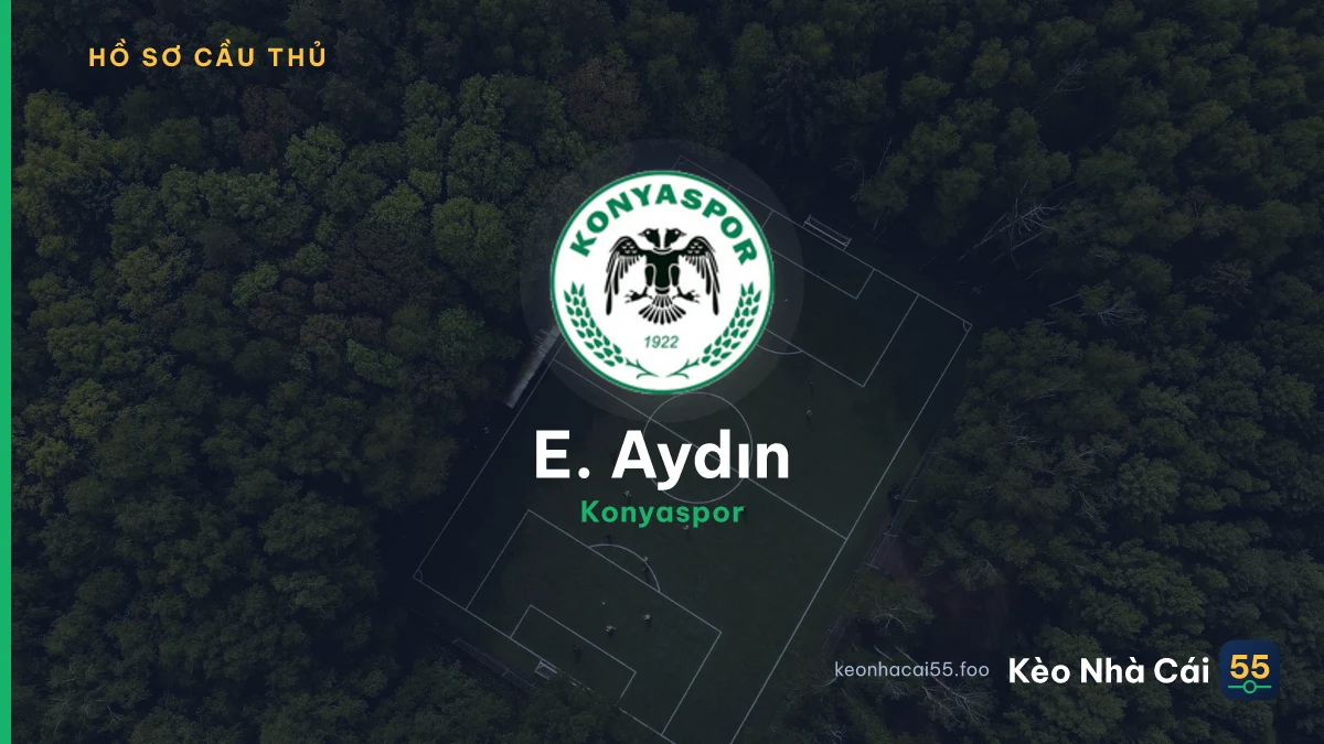 E. Aydın