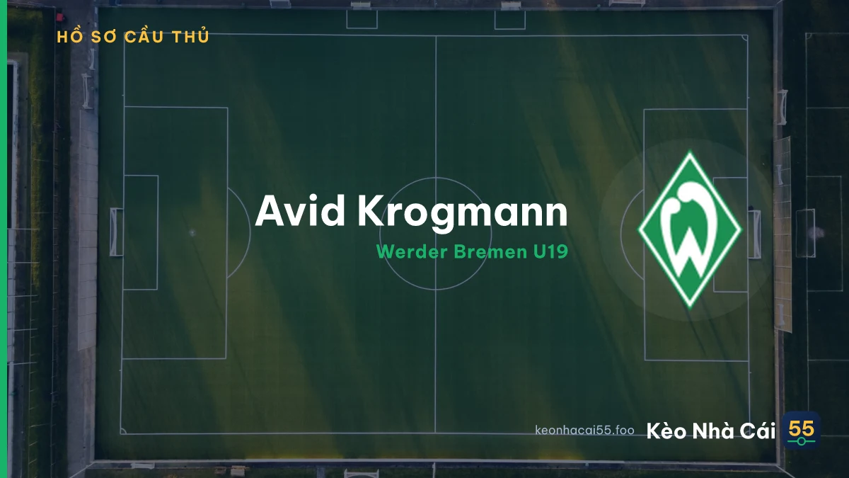 Avid Krogmann — Werder Bremen U19