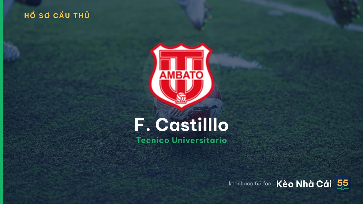 F. Castilllo — Tecnico Universitario