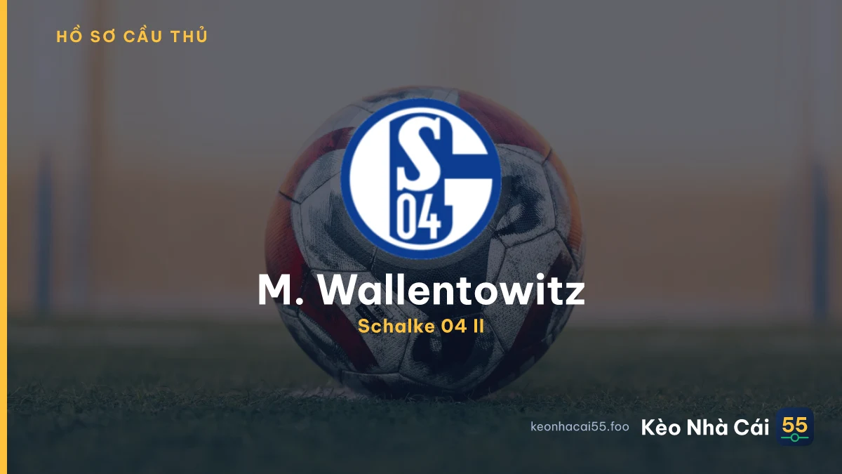 M. Wallentowitz
