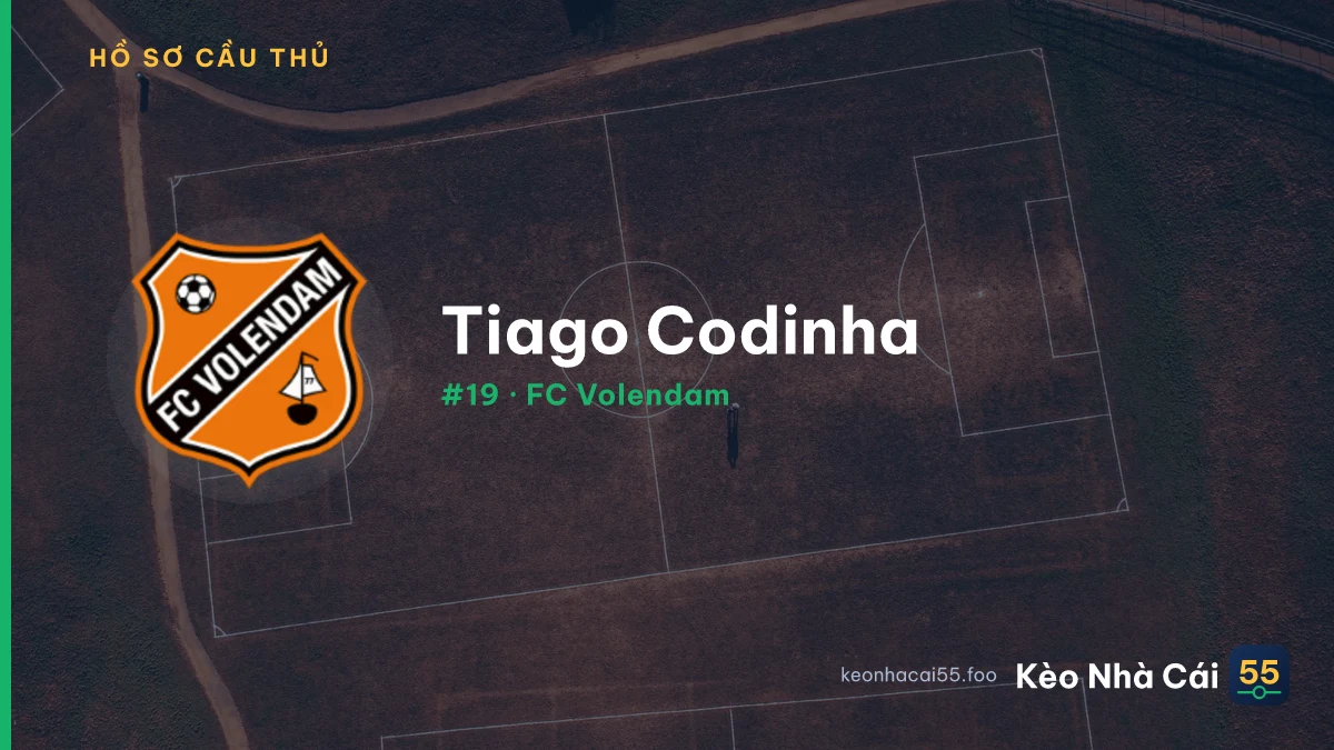 T. Codinha