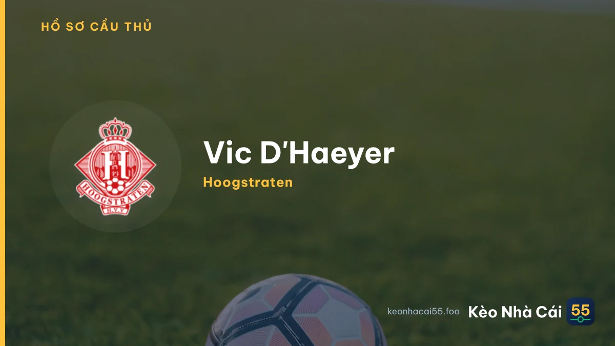 V. D'Haeyer