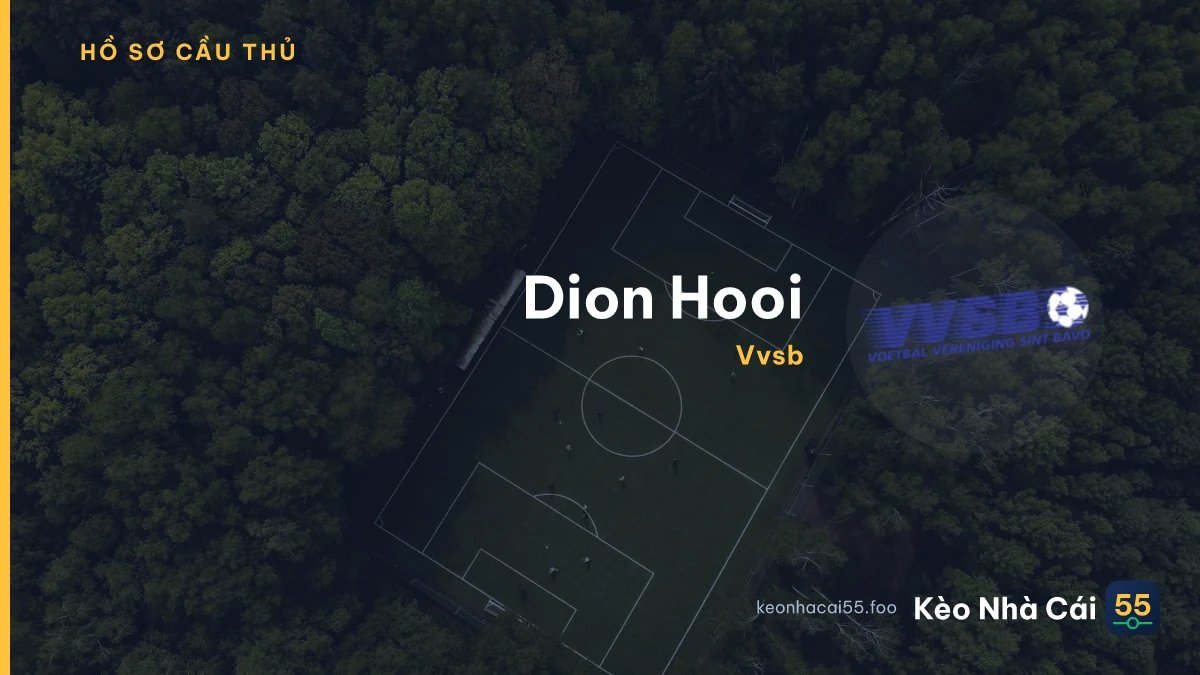 Dion Hooi — Vvsb