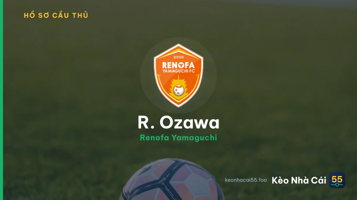 R. Ozawa