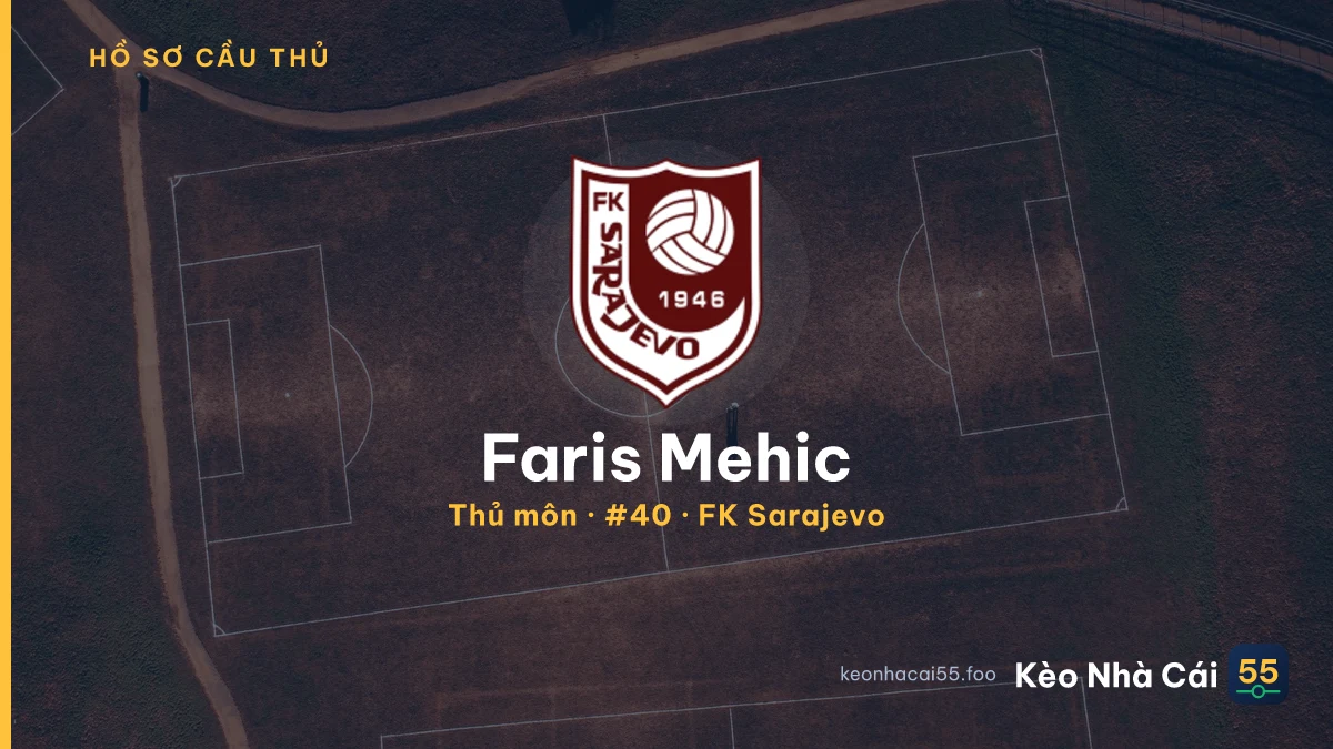 Faris Mehic — FK Sarajevo
