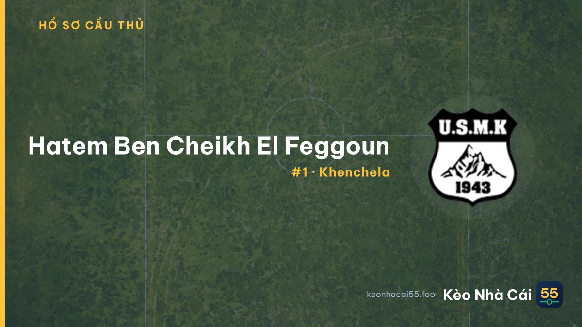 H. Ben Cheikh El Feggoun