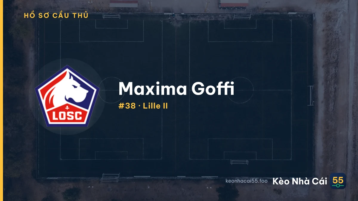 M. Goffi