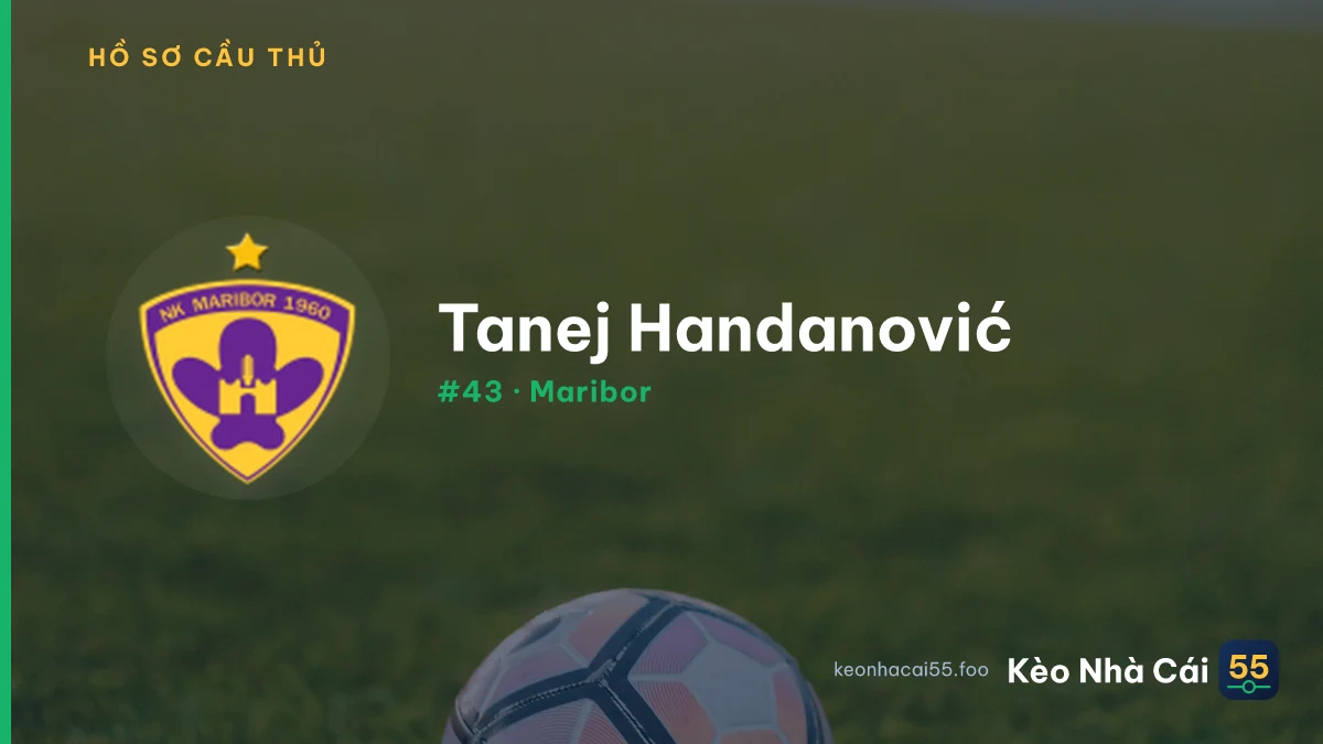 T. Handanović