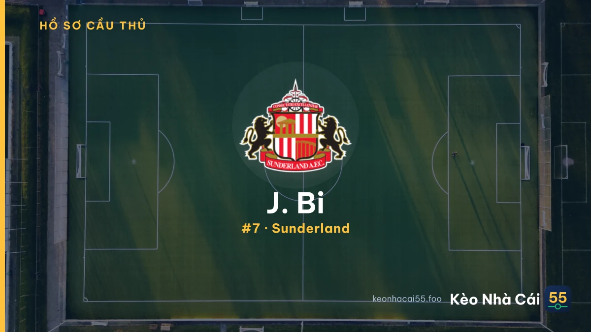 J. Bi — Sunderland