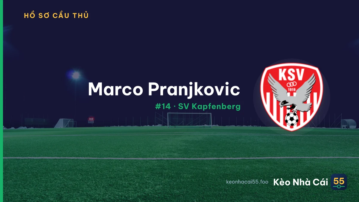 M. Pranjkovic