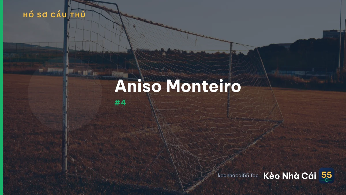 Aniso Monteiro
