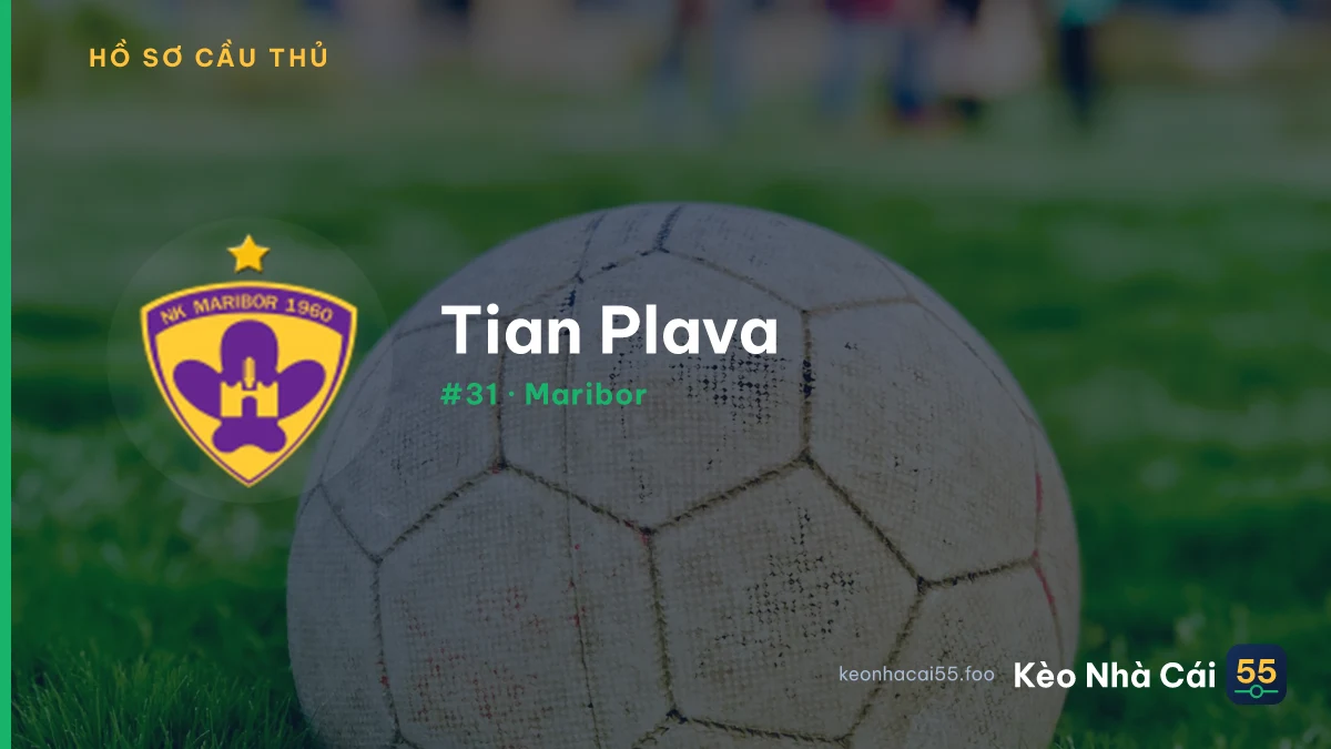 T. Plava