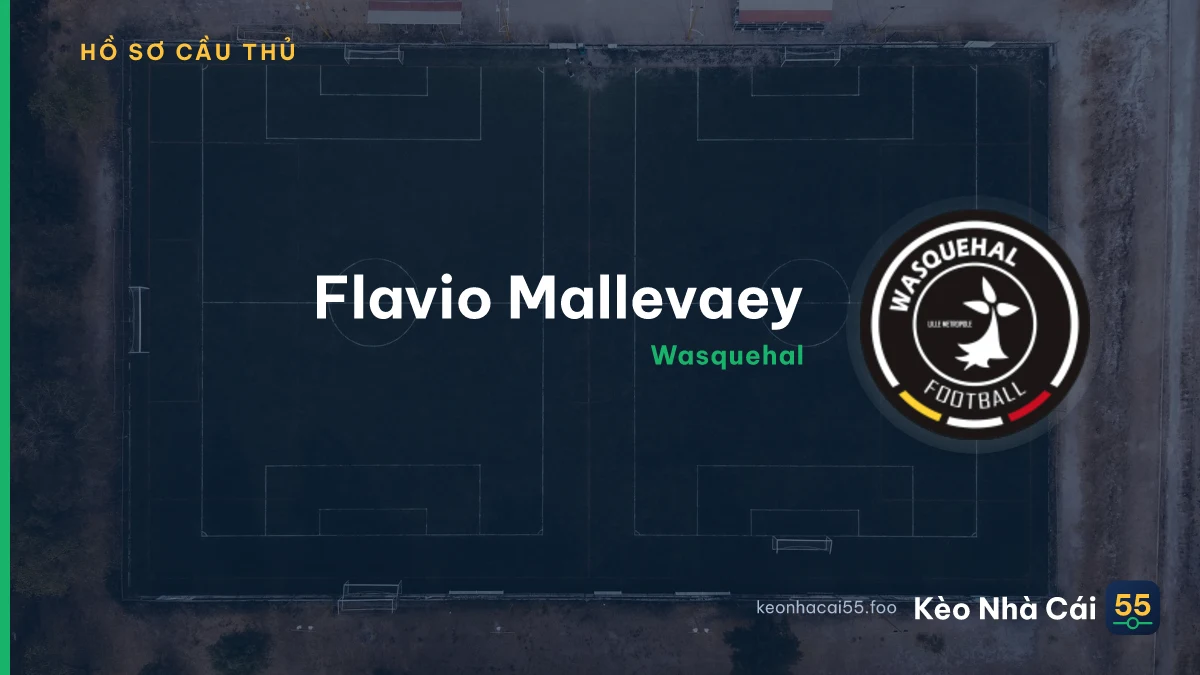 F. Mallevaey — Wasquehal