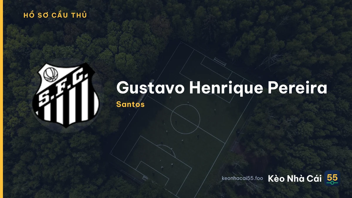 Gustavo Henrique Pereira